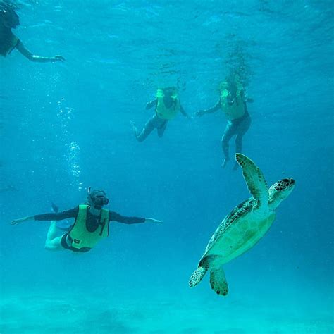 National Park Snorkeling by Spur Experiences® (Saint Thomas, USVI ...