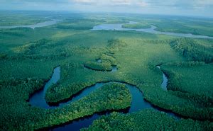 Climate Change alters Congo's rainforest