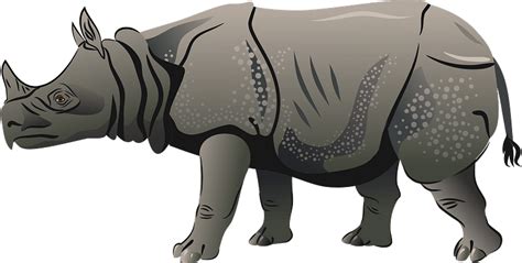 Javan rhino clipart. Free download transparent .PNG | Creazilla