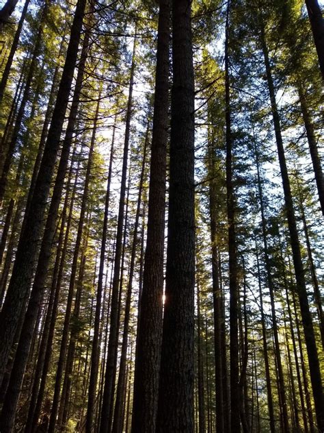 Rattlesnake Ledge Sunrise Hike – Top Left Adventures