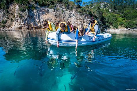 Cathedral Cove boat tour, Coromandel, New Zealand guided tour - New ...