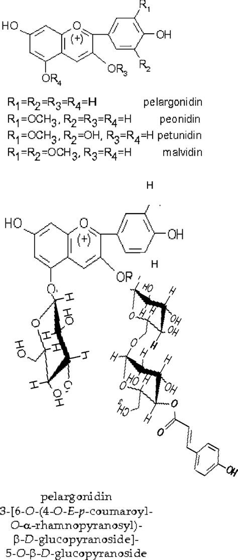 Chemical structure of Anthocyanins. A Aglycon with indication of side... | Download Scientific ...