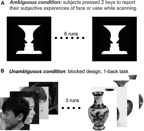 Frontiers | Category Selectivity of Human Visual Cortex in Perception of Rubin Face–Vase Illusion