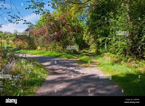 A trail through the woods Stock Photo - Alamy