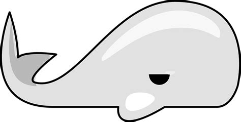 Whale Mammal Sea Life · Free vector graphic on Pixabay