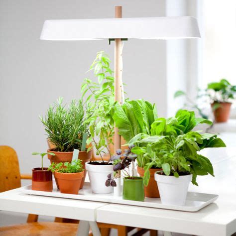 13 Best Indoor plant lighting ideas in 2021 | plant lighting, indoor ...