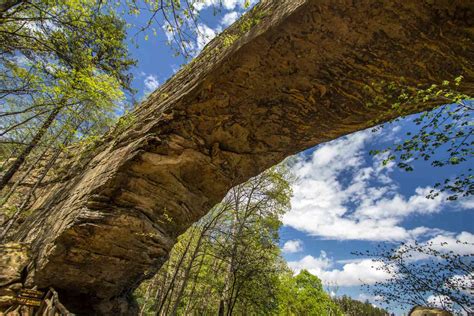 Escape To Nature: Kentucky State Parks Within Reach Of Mayfield