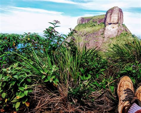 Hidden trails hike in Tijuca forest from Rio de Janeiro | OutdoorTrip