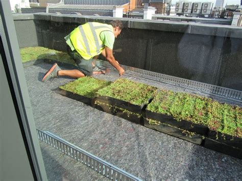 green roof installation modular method | Green roof installation, Green ...