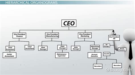 Organogram | Definition, Types & Examples - Lesson | Study.com