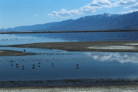 About Owens Lake | Friends of the Inyo