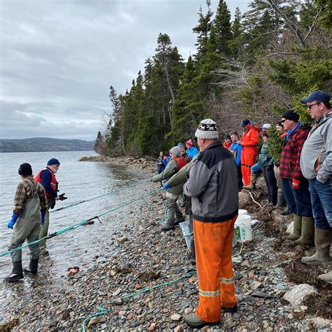 Community Science on Fogo Island - Shorefast