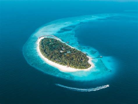 Exceptional house reef - Review of Reethi Beach Resort, Fonimagoodhoo Island, Maldives - Tripadvisor