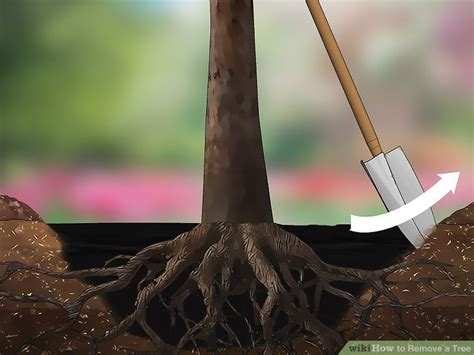 3 Ways to Remove a Tree - wikiHow