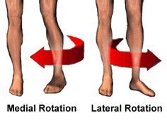 Medial & lateral rotation. | Movements & actions & positions | Human ...