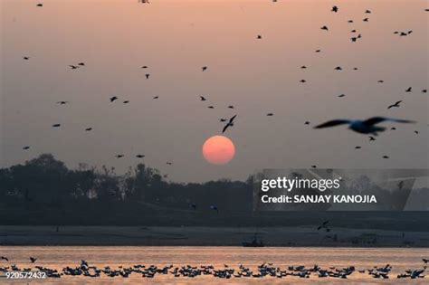 Ganga Yamuna Photos and Premium High Res Pictures - Getty Images