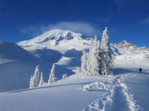 Cabin Fever? Mount Rainier National Park Is Open During Winter. Here ...