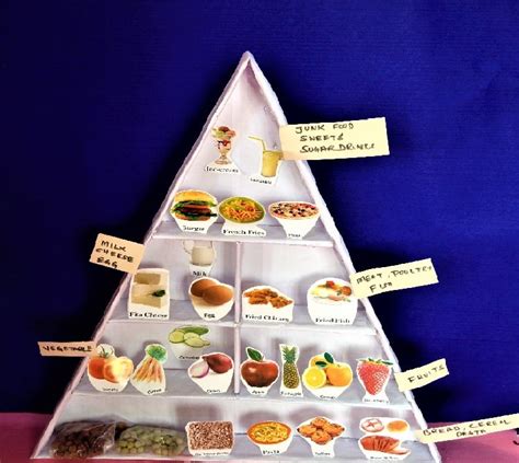 How to make food pyramid science project model - Science Projects ...