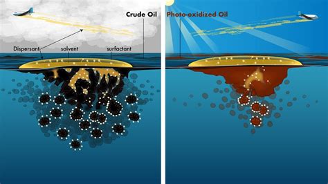 Reassessing Guidelines for Oil Spill Cleanups – Woods Hole Oceanographic Institution