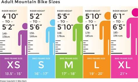 Trek Mountain Bike Frame Size Chart