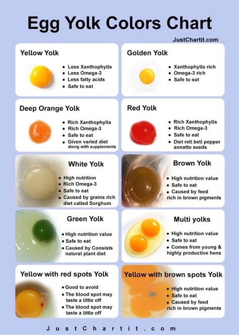 Egg Yolk Color Chart - What Color Safe to eat