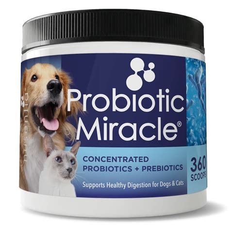 Are Human Probiotics Good For Dogs