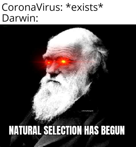 Natural selection has begun : r/memes