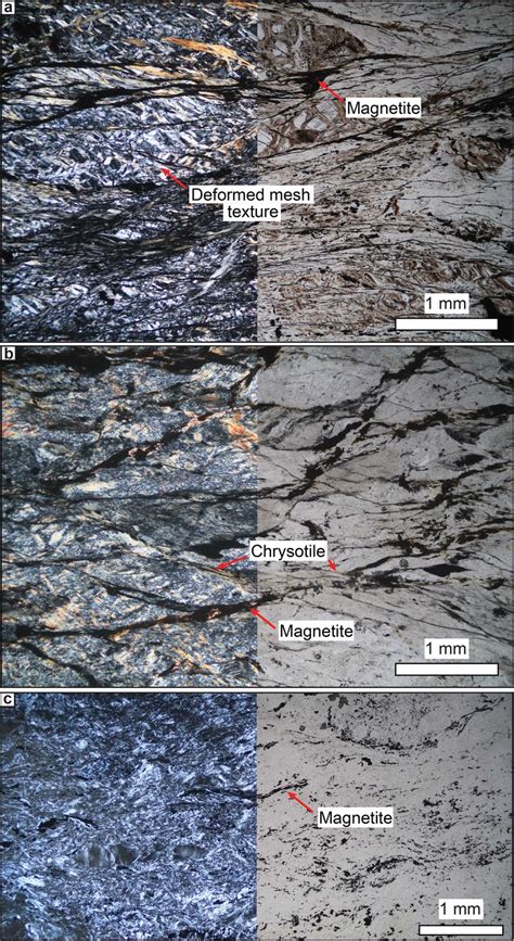 Evolution of serpentinite texture and mineralogy in scaly shear zone ...