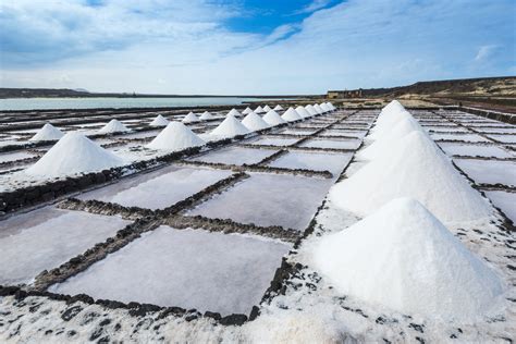 Harvesting Salt from the Ocean - A Great Skill to Learn - Outdoor Revival