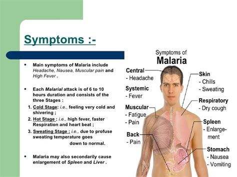 Malaria