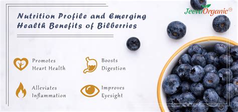 Emerging Health Benefits of Bilberries | Bilberry Powder