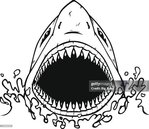 Shark Outline High-Res Vector Graphic - Getty Images