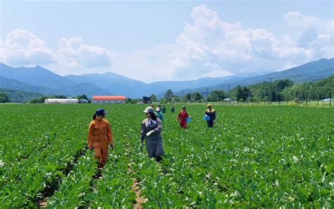 Ezura Farm: A Farmstay Inn In Hokkaido, Japan