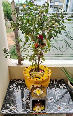 Thulasi Plant, Plant Decor, Rangoli Designs Flower, Colorful Rangoli ...