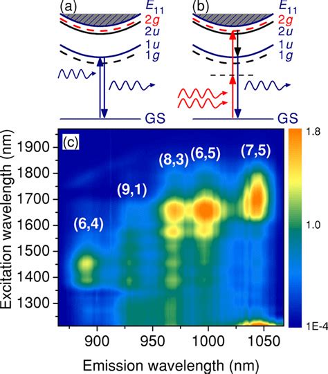 Color online) (a) Schematic picture of one-photon absorption and ...