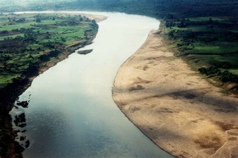 Narmada River Dams Tributaries Extinction