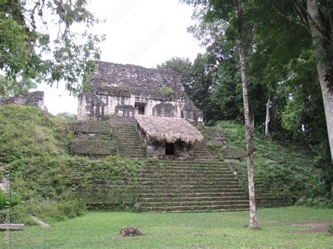 TIKAL NATIONAL PARK, PETEN, GUATEMALA Stock Photo | Adobe Stock