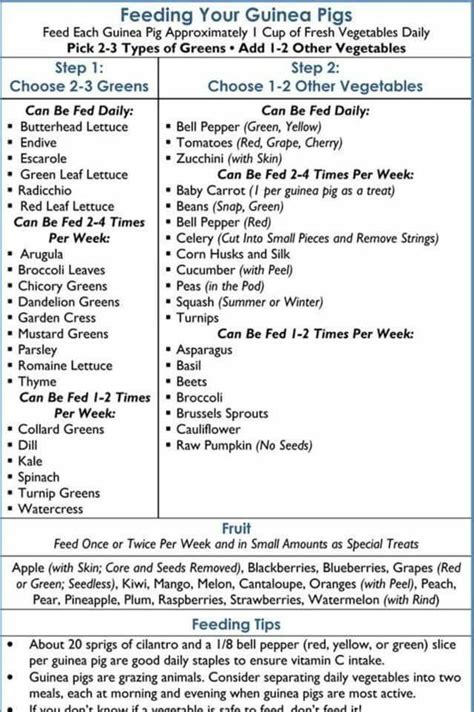 Free Printable Guinea Pig Food Chart - Printable Templates