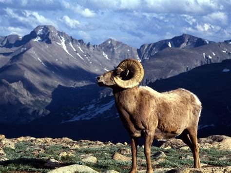 Rocky Mountain National Park Wallpapers - Wallpaper Cave