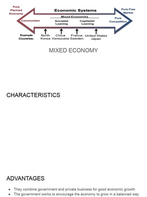 Mixed Economic System | PDF