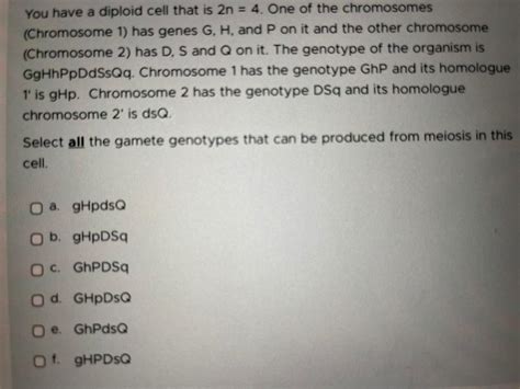 Solved You have a diploid cell that is 2n=4. One of the | Chegg.com