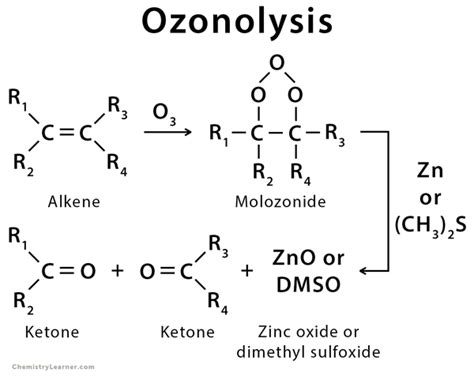 Ozonolysis: Definition, Examples, and Mechanism