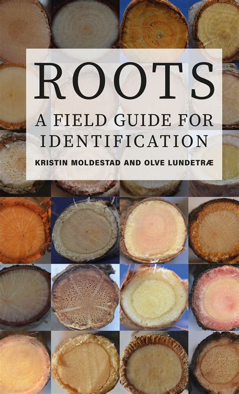 Roots – A Field Guide for Identification - Arboricultural Association ...