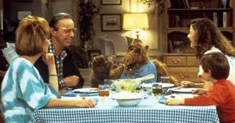 'ALF' Cast: Where Are They Now? See What the Stars Are Up To!