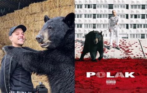 PLK a retrouvé l'ours de la cover de son premier album « POLAK » - Gentsu