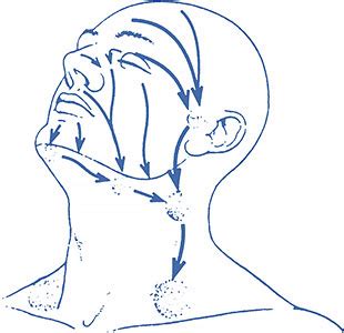 Evaluation and Management of Head and Neck Lymphedema | Norton School ...