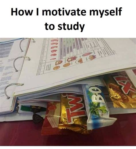 Motivation | Studying funny, Studying memes, Sarcasm humor