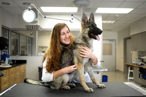 NC State Veterinary Hospital, Centennial Biomedical Campus | NC State ...