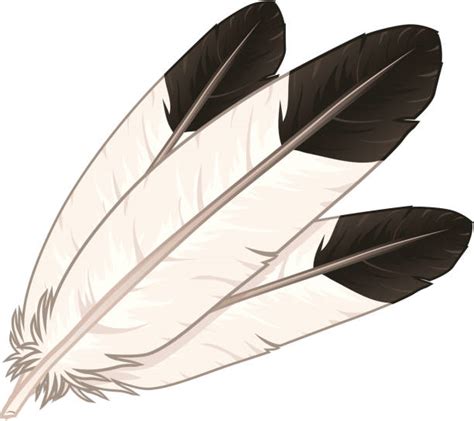 Royalty Free Eagle Feather Clip Art, Vector Images & Illustrations - iStock