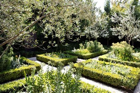 Design for a plant-focussed parterre garden - GardenDrum